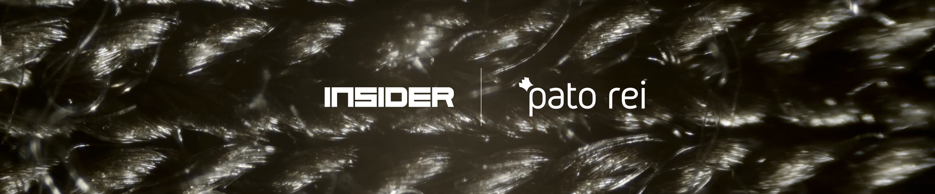 Pato Rei X Insider